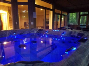Woodshores Retreat - cozy retreat, hot tub, Lk MI